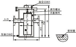 直通防內(nèi)漏籃式過(guò)濾器結(jié)構(gòu)圖